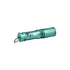 Teal green flashlight with palm tree design, keyring, and textured grip.